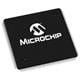 Microchip Technology PIC32MZ2025DAK176-V/2J
