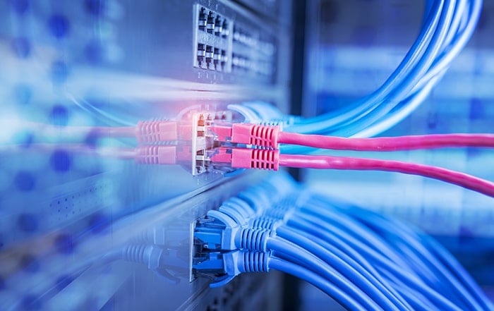blue and red network cables connected to switch in data center